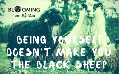 You are not the Black Sheep