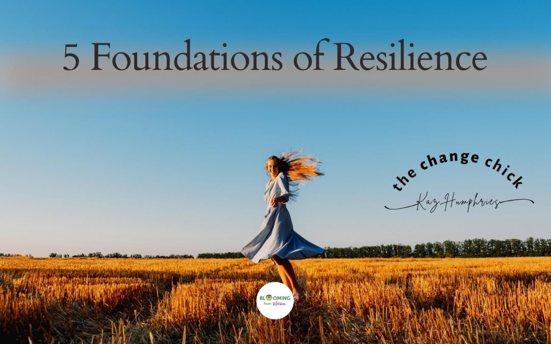 5 Foundations Of Resilience